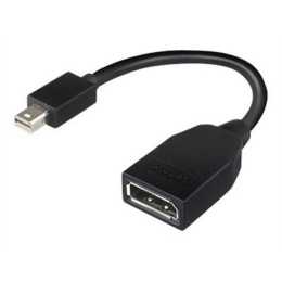 Lenovo Mini-DisplayPort to DisplayPort Adapter