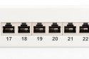 Digitus Patch Panel DN-91624S White, 48.2 x 4.4 x 10.9 cm, Category: CAT 6; Ports: 24 x RJ45; Retention strength: 7.7 kg; Insert