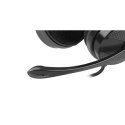 Natec Headset Canary Go On-Ear, Microphone, Noice canceling, 3.5 mm, Black