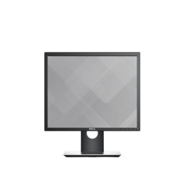 Dell Professional P1917S 19.0 