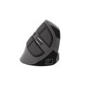 Natec Vertical Mouse Euphonie Wireless, Black, Optical