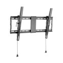 Gembird TV wall mount 	WM-80T-01 37-80 ", Maximum weight (capacity) 70 kg, Black