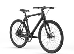 Sharp Hybrid E-Bike | 250 W | 21 