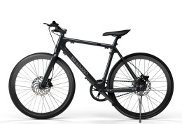 Sharp Hybrid E-Bike | 250 W | 21 