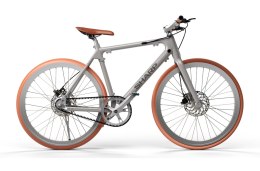 Sharp Hybrid E-Bike | 250 W | 21 